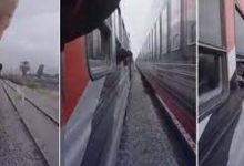 الحصان ينجو من ميتة مزدوجة في مواجهة قطار أسيوط ..فيديو