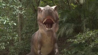 بالفيديو.-افتتاح-أكبر-منتزه-للديناصورات-بالعالم-في-البرازيل