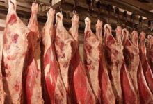 ارتفاع-أسعار-اللحوم-الحمراء-وانخفاض-الفول-السائب-بالأسواق-اليوم-(موقع-رسمي)