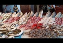 أسعار-الأسماك-والمأكولات-البحرية-اليوم-في-سوق-العبور