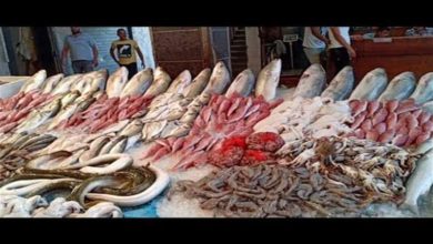 أسعار-الأسماك-والمأكولات-البحرية-اليوم-في-سوق-العبور
