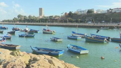 الاتحاد-الأوروبي-يريد-“استمرارية”-شراكة-مصايد-الأسماك-مع-المغرب