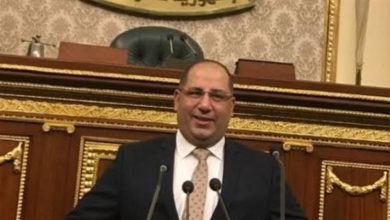 برلماني:-مجالات-تعاون-جديدة-بين-مصر-وإيطاليا-للقضاء-على-الهجرة-غير-الشرعية