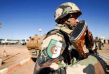 الجيش-الجزائري:-القبض-على-عنصري-دعم-للجماعات-الإرهابية-و235-مهاجرًا-غير-شرعي