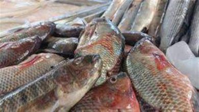 أسعار-السمك-والمأكولات-البحرية-اليوم-السبت-في-سوق-العبور