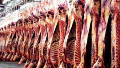 تراجع-جديد-في-أسعار-اللحوم-الحمراء-بالأسواق-(موقع-رسمي)