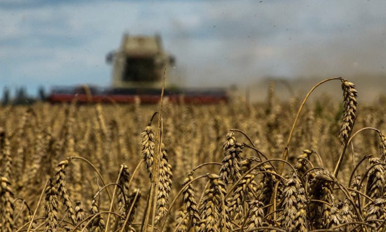 توقعات-بزيادة-في-محصول-الحبوب-الأوكراني-هذا-العام