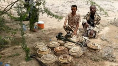 مرصد-يمني-يحذر-من-مخاطر-ألغام-الحوثي-على-حياة-المزارعين-في-الحديدة