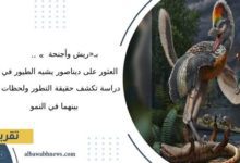 بـ«ريش-وأجنحة»-العثور-على-ديناصور-يشبه-الطيور-في-الصين.-دراسة-تكشف-حقيقة-التطور-ولحظات-التشابه-بينهما-في-النمو