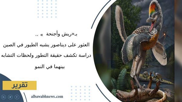 بـ«ريش-وأجنحة»-العثور-على-ديناصور-يشبه-الطيور-في-الصين.-دراسة-تكشف-حقيقة-التطور-ولحظات-التشابه-بينهما-في-النمو