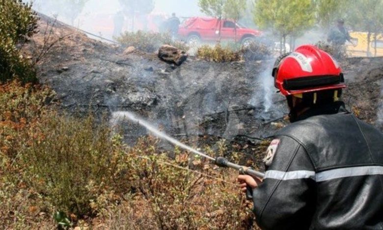 حرائق-الغابات-تشتعل-مجدداً-في-الجزائر