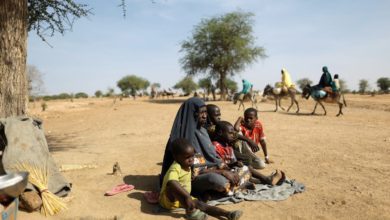 نقابة-الأطباء-في-السودان:-مئات-الوفيات-بحمى-الضنك
