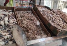 أسعار-الأسماك-والمأكولات-البحرية-اليوم-الخميس-في-سوق-العبور