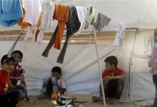 موسكو:-عودة-34-طفلا-من-مخيمات-اللاجئين-في-سوريا-إلى-روسيا
