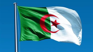 الجزائر:-تأجيل-جميع-المسابقات-والمنافسات-الرياضية-تضامنًا-مع-الشعب-الفلسطيني
