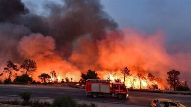 الجزائر:-إخماد-جميع-الحرائق-المندلعة-منذ-أمس-دون-تسجيل-خسائر-بشرية