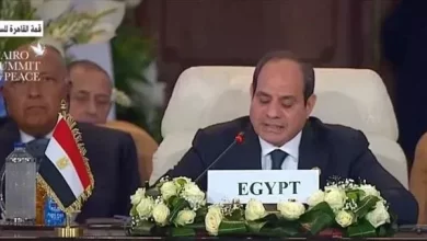 رئيس-القوى-العاملة-بالنواب:-كلمة-السيسي-بقمة-القاهرة-تؤكد-وقوف-مصر-على-أرضية-صلبة