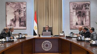 رئيس-الوزراء-يبحث-سبل-تنمية-الصادرات-المصرية-إلى-أفريقيا