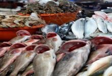 ارتفاع-أسعار-السمك-البلطي-والكابوريا-وانخفاض-البوري-بسوق-العبور-اليوم