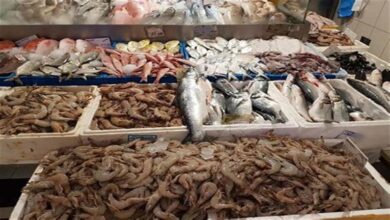 أسعار-السمك-والمأكولات-البحرية-في-سوق-العبور-اليوم
