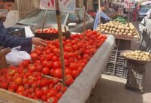 ارتفاع-الطماطم-والكوسة.-أسعار-الخضروات-والفاكهة-بسوق-العبور-اليوم-الخميس