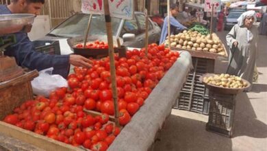 ارتفاع-الطماطم-والكوسة.-أسعار-الخضروات-والفاكهة-بسوق-العبور-اليوم-الخميس