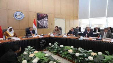 مركز-تجاري-وزيارات.-اللجنة-المصرية-البحرينية-تعلن-نتائج-أول-اجتماعاتها