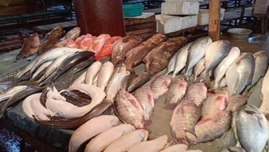 أسعار-السمك-والمأكولات-البحرية-في-سوق-العبور-اليوم-السبت