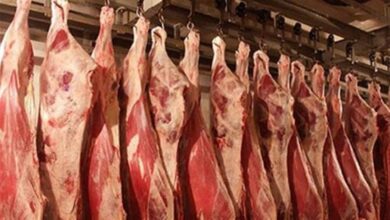 انخفاض-أسعار-اللحوم-والمسلى-وزيادة-العدس-والدقيق-بالأسواق-اليوم-(موقع-رسمي)