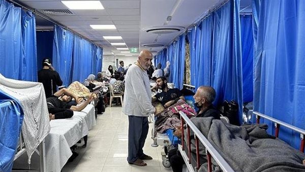 المقررة-الأممية-للصحة:-تدمير-البنية-التحتية-للرعاية-الصحية-في-غزة-بالكامل