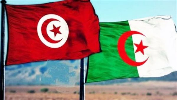 مباحثات-جزائرية-–-تونسية-لتعزيز-التعاون-الثنائي-في-مجال-صناعة-الأدوية
