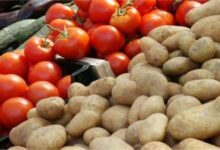 ارتفاع-أسعار-الطماطم-والبطاطس-وانخفاض-الملوخية-والخيار-بسوق-العبور