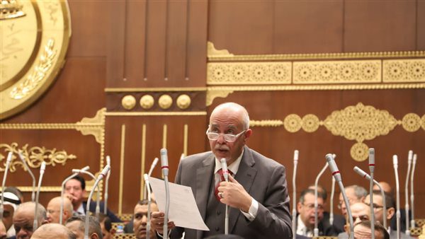 برلماني:-القمة-المصرية-الفلسطينية-استكمالا-لدور-القاهرة-المحوري-في-دعم-القضية