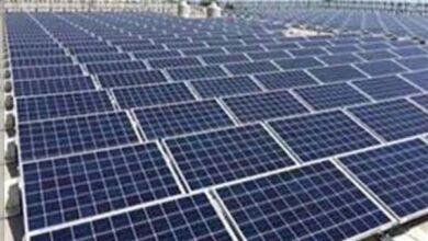مشروعات-الطاقة-الخضراء-في-مقدمة-قطاعات-الدولة-جذبا-للاستثمارات.-«أبيدوس-للطاقة-الشمسية»-تتشكل-في-صحراء-أسوان-بأيدٍ-مصرية