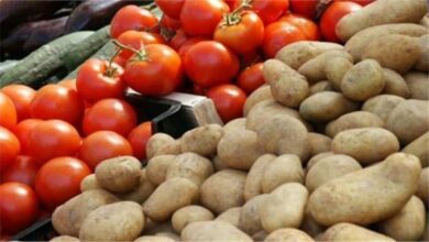 ارتفاع-أسعار-الطماطم-والبطاطس-والبصل-وتراجع-الليمون-اليوم-بسوق-العبور